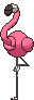 ポケモン - Flamigo