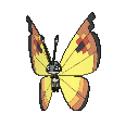 ポケモン - Vivillon-Continental