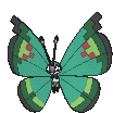 ポケモン - Vivillon-Garden